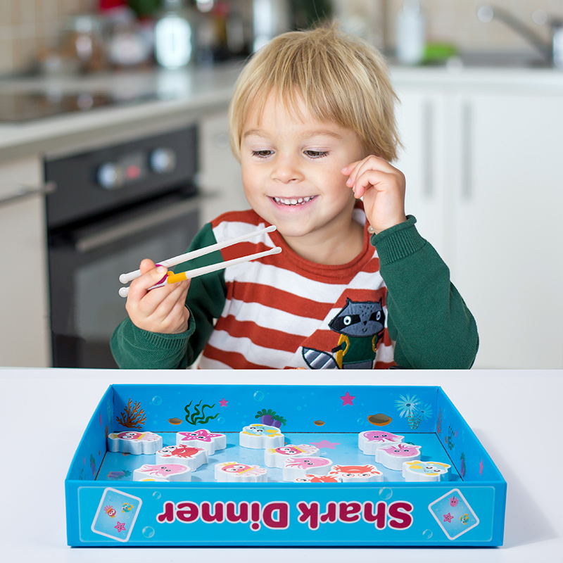 Children Animal Shape Matching - Board Game Nature recension och pris